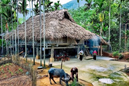 Du lịch xanh đón đầu thị hiếu