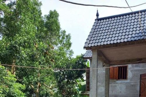 Phú Thọ: Bất ngờ 'hố tử thần' xuất hiện cạnh nhà