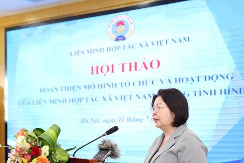 Hoàn thiện mô hình tổ chức Liên minh Hợp tác xã