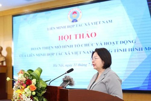 Sớm hoàn thiện mô hình hoạt động của hệ thống liên minh hợp tác xã