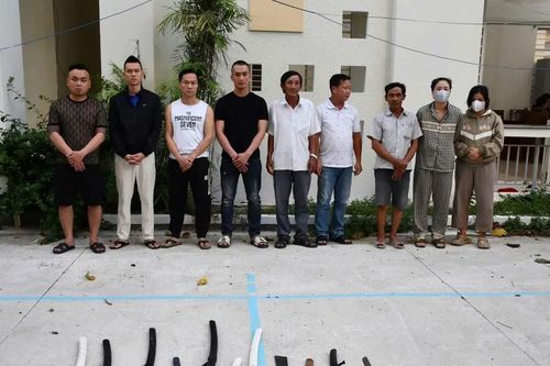 Bắt giữ nhiều đối tượng trong đường dây cho vay nặng lãi
