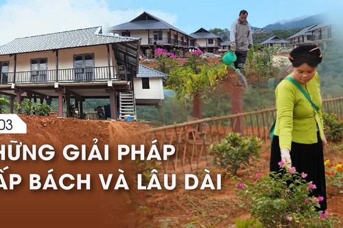 Nỗi lo 'Sơn thần' nổi giận - Bài 3: Những giải pháp cấp bách và lâu dài