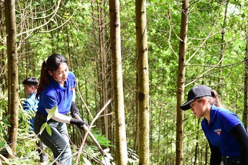 'Áo xanh' Lào Cai cùng lúc thực hiện hỗ trợ hai việc lớn, quan trọng