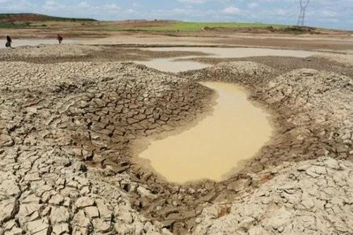 Nam Trung bộ - Tây Nguyên thiếu nước cục bộ, nguy cơ lan rộng khi nắng nóng kéo dài