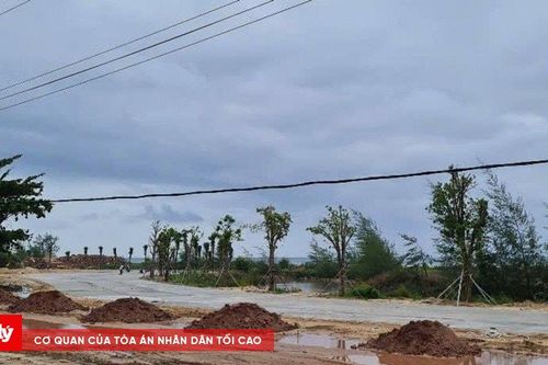 Tòa án công nhận diện tích đất cho người khai hoang và sử dụng là thấu tình đạt lý