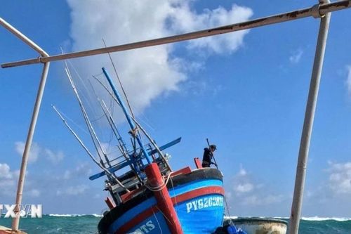 Khánh Hòa: Kịp thời cứu 5 ngư dân trên tàu cá mắc cạn ngoài Trường Sa