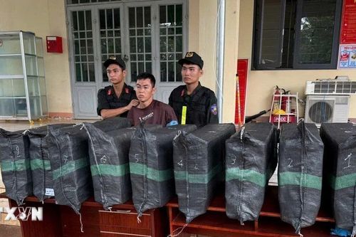 Đồng Nai: Bắt quả tang xe bán tải giấu hơn 200kg pháo hoa nổ
