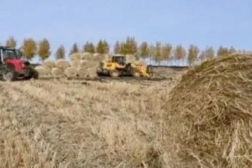 Nông dân hợp sức biến rơm rạ từ 'rác' thành 'vàng'