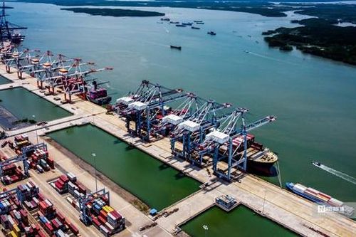 Logistics xanh là điểm tựa để doanh nghiệp vượt qua những 'cú sốc' lớn