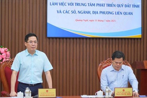 Quảng Ngãi đặt mục tiêu thu hơn 1.000 tỷ đồng từ đấu giá đất
