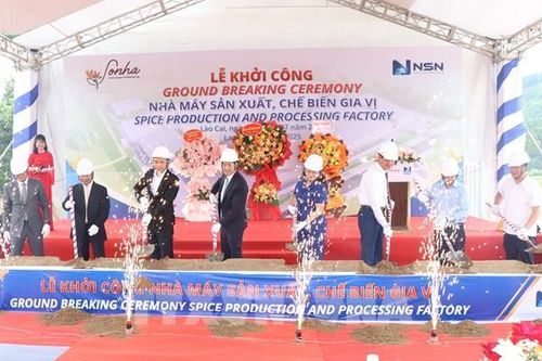 Lào Cai khởi công nhà máy chế biến gia vị hơn 350 tỷ đồng