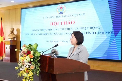 Liên minh HTX Việt Nam: Tìm kiếm mô hình tối ưu để thích ứng trong tình hình mới