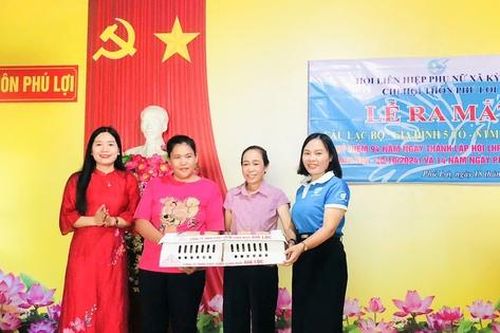 Phụ nữ Hà Tĩnh thúc đẩy xây dựng nông thôn mới từ mỗi gia đình