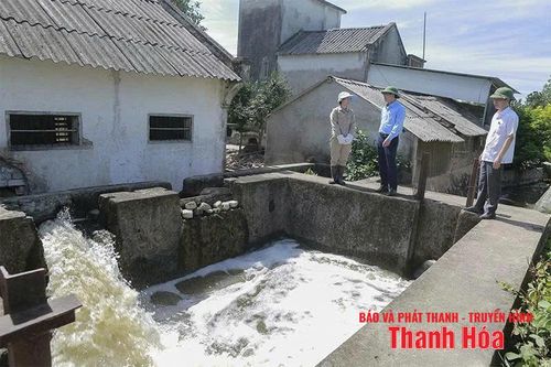 Chống hạn cho cây trồng
