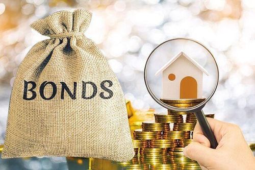 Đức Long Gia Lai và Tân Liên Phát Tân Cảng tiếp tục nợ trái phiếu