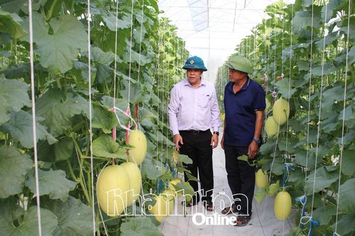 Nông nghiệp công nghệ cao phát huy hiệu quả trên vùng nắng hạn