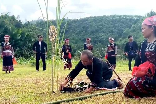 Phát huy giá trị các di sản văn hóa phi vật thể quốc gia mới của tỉnh