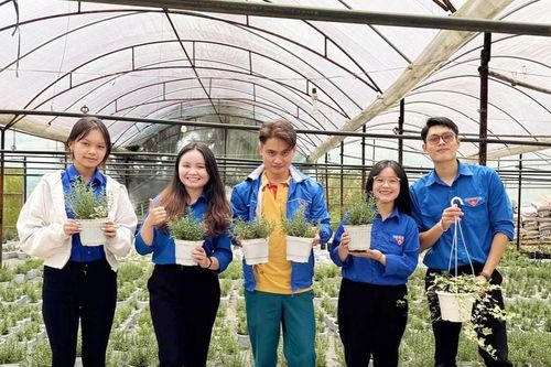 Trần Hồ Duy Bảo và khát vọng lập thân, lập nghiệp