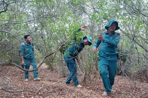 Chú trọng bảo vệ và phát triển rừng