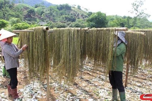Hợp tác và vận động viện trợ phi chính phủ nước ngoài