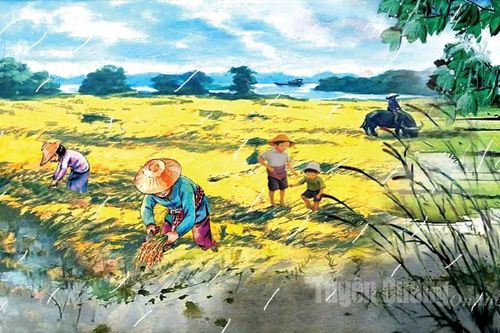 Mưa tháng Bảy
