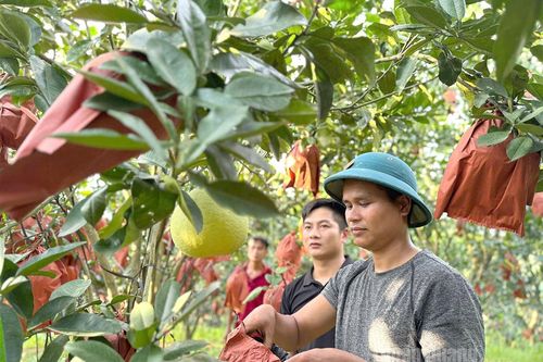 Thành công từ khác biệt