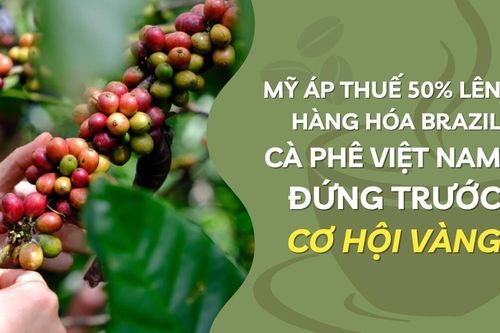Mỹ áp thuế 50% lên hàng hóa Brazil, cà phê Việt Nam đứng trước 'cơ hội vàng'