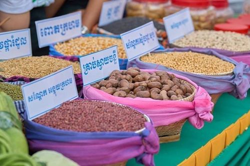 Campuchia xuất khẩu gần 3 tỷ USD nông sản nửa đầu năm 2025