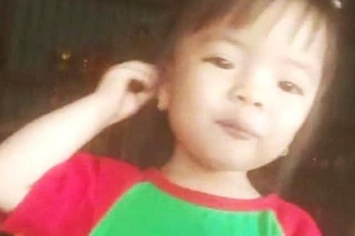 Nỗ lực tìm kiếm bé gái 2 tuổi mất tích bí ẩn ở Lâm Đồng