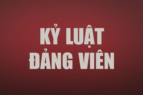 Bộ Chính trị, Ban Bí thư kỷ luật đảng viên vi phạm