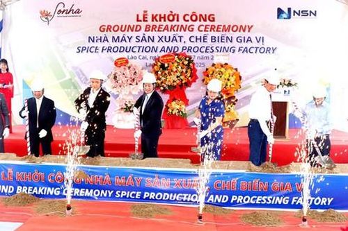 Khởi công xây dựng nhà máy chế biến quế, công suất 50 tấn vỏ quế tươi/ngày