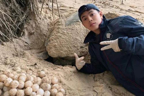 Chàng trai 9x tình nguyện 'hộ sinh' ở Côn Đảo