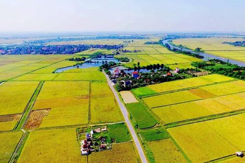 Chuyển đất nông nghiệp sang đất ở: Hoảng hốt tiền sử dụng đất cao đột biến