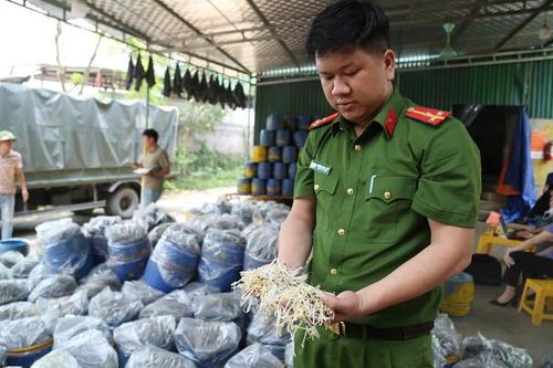 Quyết liệt triệt phá hàng giả, thực phẩm bẩn để bảo vệ người tiêu dùng