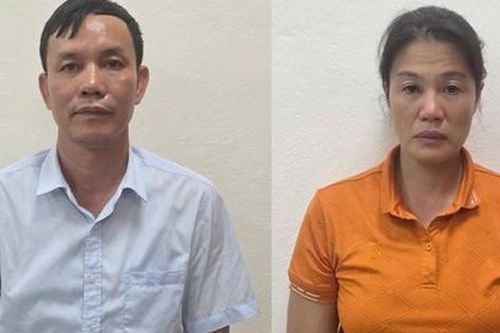 Hé lộ nguyên nhân Giám đốc công ty lâm nghiệp ở Quảng Ninh bị khởi tố
