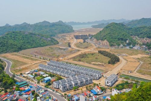 Hai công ty liên quan MIK Group thâu tóm Cát Bà Amatina