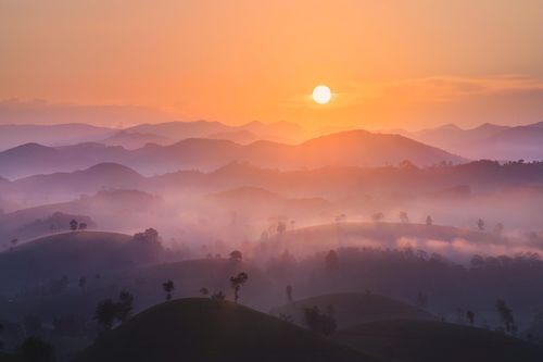 Cảnh mờ ảo như 'chốn bồng lai tiên cảnh' ở đồi chè Long Cốc