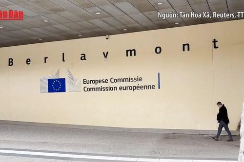 EU thoát khủng hoảng dân số nhờ dòng người nhập cư