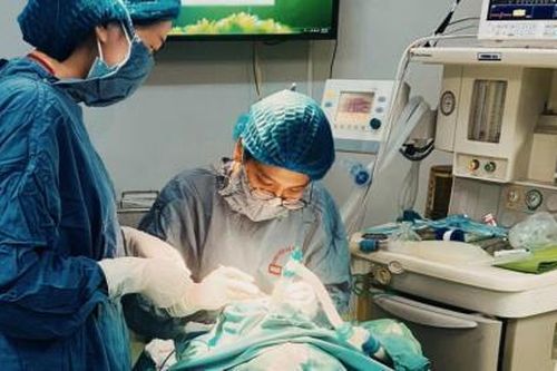 Orbis hợp tác với Bệnh viện Mắt Đà Nẵng triển khai bệnh viện bay về mắt