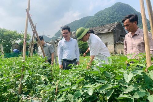 Ấm no 'gõ cửa' vùng đất địa đầu Tổ quốc