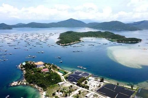 Khánh Hòa lập 3 tổ công tác đặc biệt gỡ vướng cho doanh nghiệp, tăng tốc giải ngân