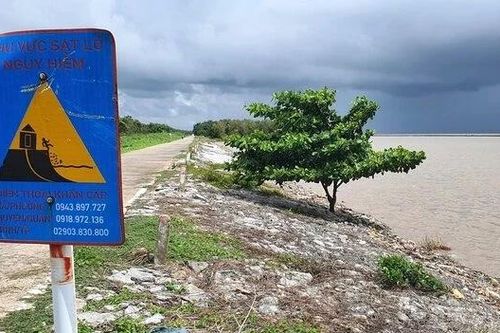 Đê biển Tây Cà Mau 'gồng mình' mùa mưa bão