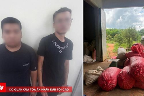 Bắt 2 thanh niên trộm 4,2 tấn hạt điều