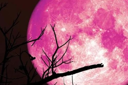 Cuối cùng chúng ta đã tìm ra được gì bên trong Mặt Trăng