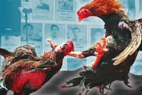 Vụ nghi thảm sát 34 người đá gà, phi tang xuống đáy hồ ở Philippines: Sự thật còn đáng sợ hơn?
