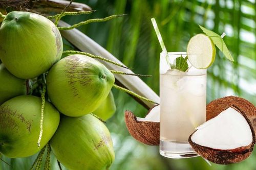 Có nên uống nước dừa vào buổi sáng?