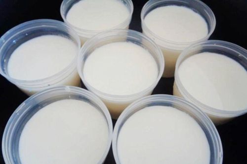 Ăn sáng cùng sữa chua: Lợi ích hay rủi ro cho hệ tiêu hóa?