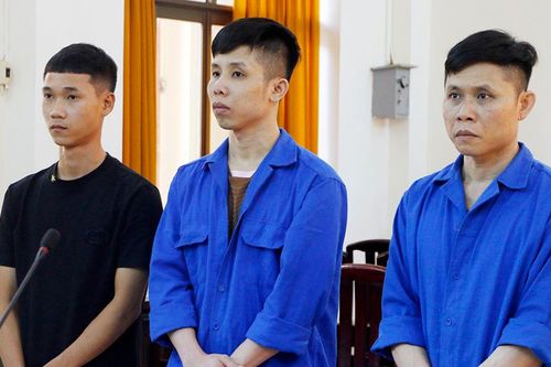 Thuê xe cuốc rồi đốt, 3 bị cáo lãnh án tù