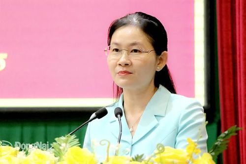Tình hình an ninh trật tự 6 tháng đầu năm tại Đồng Nai được giữ ổn định