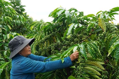 Khơi thông ý thức giảm nghèo trong đồng bào DTTS